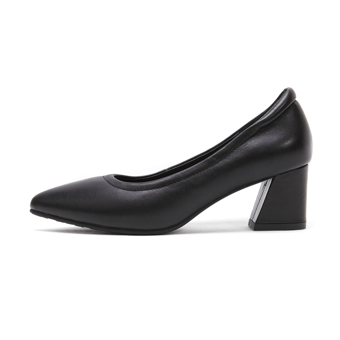 Pointed Toe Wedged Heels
