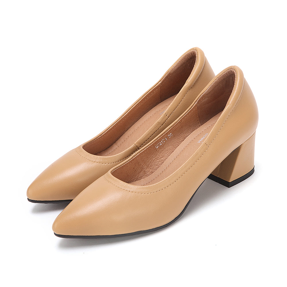 Pointed Toe Wedged Heels
