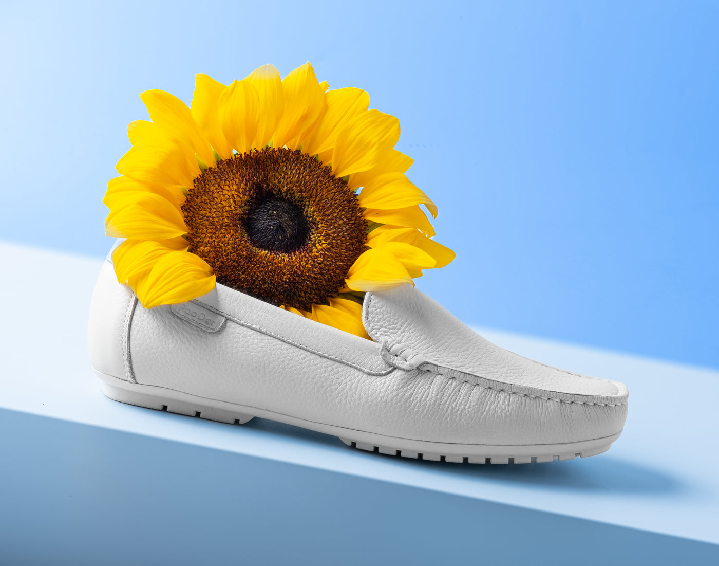 Ladies Regular Fit Loafers