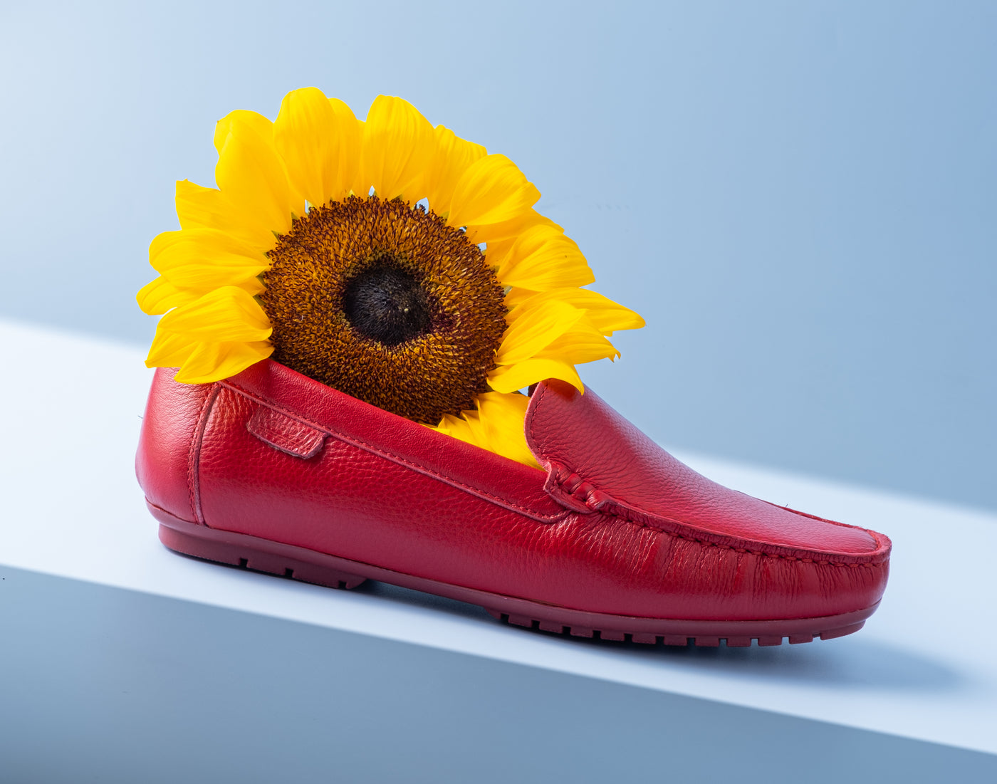 Ladies Regular Fit Loafers