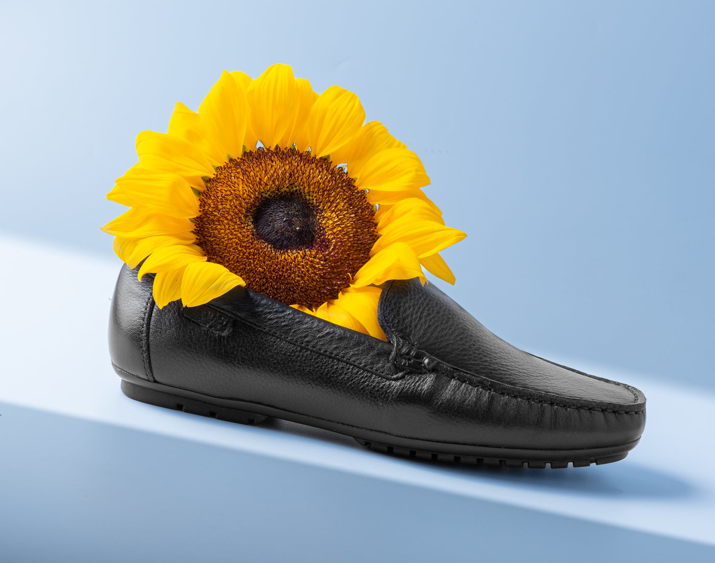 Ladies Regular Fit Loafers