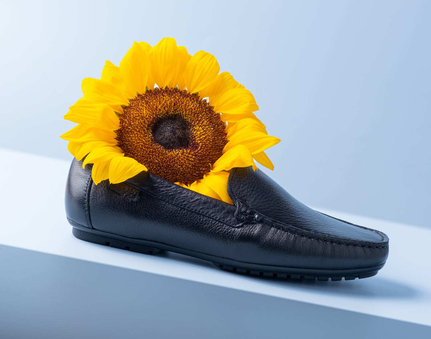 Ladies Regular Fit Loafers