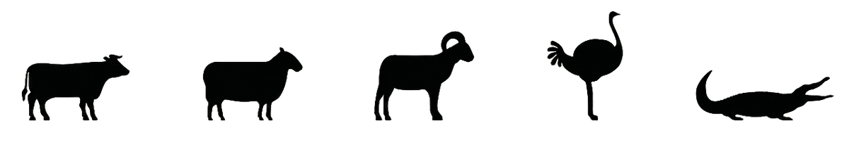 Cow, sheep, goat, ostrich, crocodile